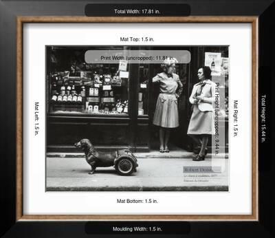 Le Chien A Roulettes C 1977 Print Robert Doisneau Allposters Com