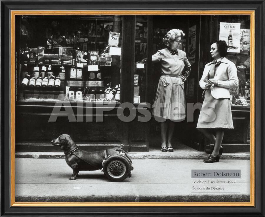 Le Chien A Roulettes C 1977 Poster Robert Doisneau Allposters Com