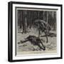 Le Chien d'Or-Frank Dadd-Framed Giclee Print