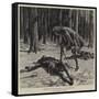 Le Chien d'Or-Frank Dadd-Framed Stretched Canvas