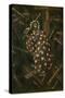 Le Christ De La Croix. Peinture De Francisco Moyen (1720-1761), Huile Sur Toile, Debut 18E Siecle.-Francisco Moyen-Stretched Canvas