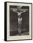 Le Christ, from the Paris Salon-Leon Joseph Florentin Bonnat-Framed Stretched Canvas