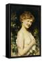 Le Clin d'Oeil-Leon Francois Comerre-Framed Stretched Canvas