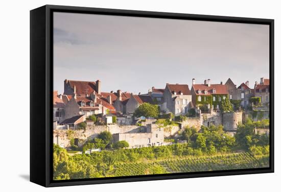 Le Clos Vineyard Below the Hilltop Village of Vezelay in Burgundy, France, Europe-Julian Elliott-Framed Stretched Canvas