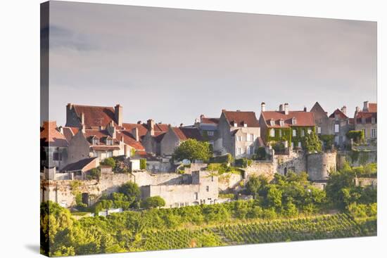 Le Clos Vineyard Below the Hilltop Village of Vezelay in Burgundy, France, Europe-Julian Elliott-Stretched Canvas