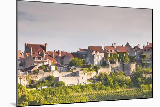 Le Clos Vineyard Below the Hilltop Village of Vezelay in Burgundy, France, Europe-Julian Elliott-Mounted Photographic Print