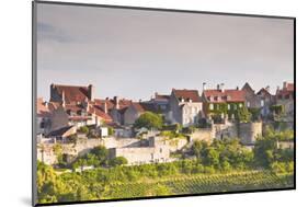 Le Clos Vineyard Below the Hilltop Village of Vezelay in Burgundy, France, Europe-Julian Elliott-Mounted Photographic Print