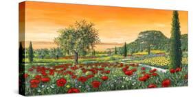 Le Colline in Fiore-Tebo Marzari-Stretched Canvas