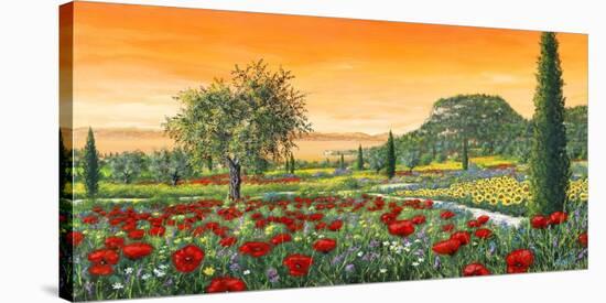 Le Colline in Fiore-Tebo Marzari-Stretched Canvas