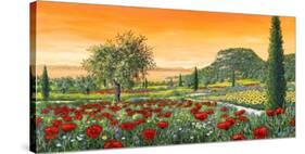 Le Colline in Fiore-Tebo Marzari-Stretched Canvas