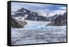 Le Conte Glacier, Alaska, Petersburg, USA-Stuart Westmorland-Framed Stretched Canvas
