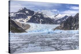 Le Conte Glacier, Alaska, Petersburg, USA-Stuart Westmorland-Stretched Canvas