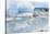 Le Conte Glacier, Alaska, Petersburg, USA-Stuart Westmorland-Stretched Canvas