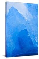 Le Conte Glacier, Alaska, Petersburg, USA-Stuart Westmorland-Stretched Canvas