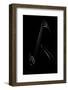 Le contrebassiste-Strugala Didier-Framed Photographic Print