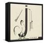 "le coq gaulois"dessin d'Edward Steichen-null-Framed Stretched Canvas