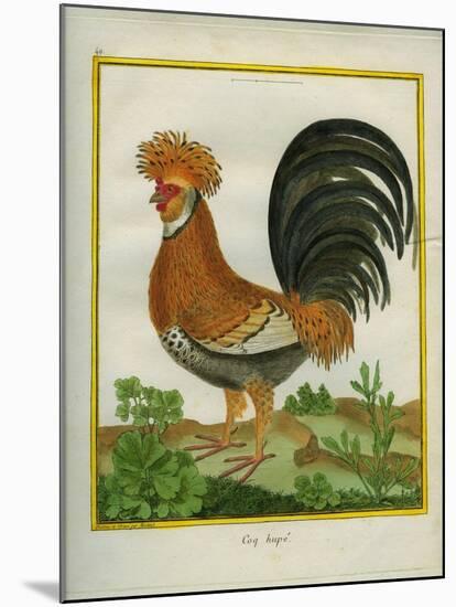 Le Coq Huppé-Georges-Louis Buffon-Mounted Giclee Print