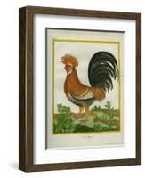 Le Coq Huppé-Georges-Louis Buffon-Framed Giclee Print