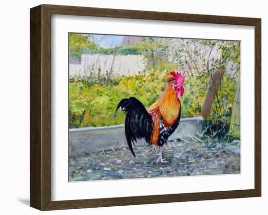 Le Coq Lico, 2003-Michel Bultet-Framed Giclee Print