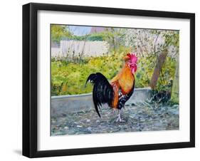 Le Coq Lico, 2003-Michel Bultet-Framed Giclee Print