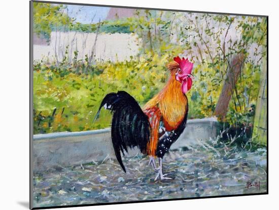 Le Coq Lico, 2003-Michel Bultet-Mounted Giclee Print