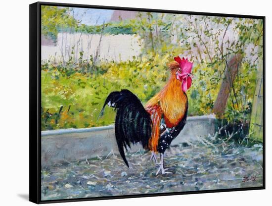 Le Coq Lico, 2003-Michel Bultet-Framed Stretched Canvas