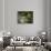 Le Dejeuner (The Luncheon)-Claude Monet-Giclee Print displayed on a wall