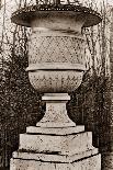 Versailles Urn IV-Le Deley-Stretched Canvas