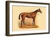 Le Destrier-L. Penicaut-Framed Art Print