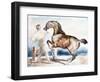 Le Dressage, Early 19th Century-Theodore Gericault-Framed Giclee Print