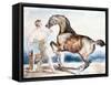 Le Dressage, Early 19th Century-Theodore Gericault-Framed Stretched Canvas