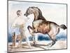 Le Dressage, Early 19th Century-Theodore Gericault-Mounted Giclee Print
