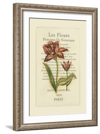 Le Fleurs Botanique II--Framed Art Print
