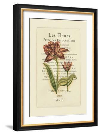 Le Fleurs Botanique II--Framed Art Print