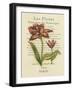 Le Fleurs Botanique II-null-Framed Art Print