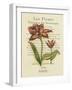 Le Fleurs Botanique II-null-Framed Art Print