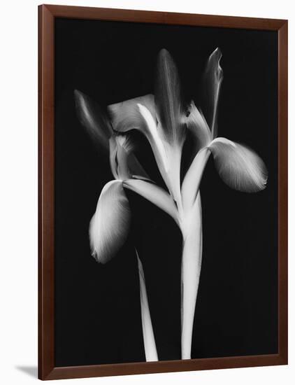 Le Flur BW-Albert Koetsier-Framed Art Print