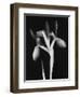 Le Flur BW-Albert Koetsier-Framed Premium Giclee Print