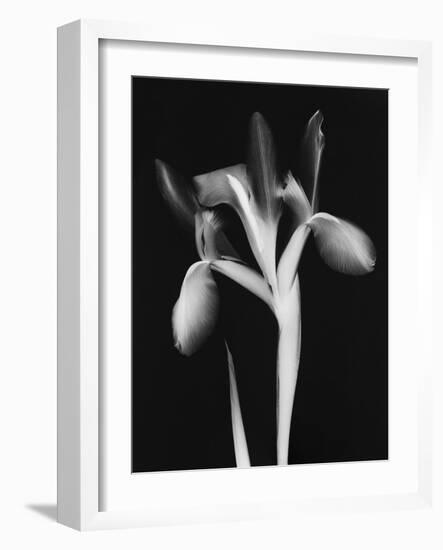 Le Flur BW-Albert Koetsier-Framed Art Print