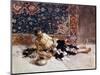 Le Fumeur D'opium. Opium Smoker. Peinture De Mariano Fortuny Y Marsal (1838-1874), 1869. Art Espagn-Mariano Fortuny-Mounted Giclee Print