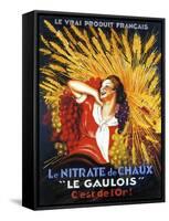 Le Gaulois-null-Framed Stretched Canvas