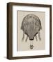 Le Geant des airs Ascension de Monsieur Armand Petit, between 1860-1880-null-Framed Giclee Print