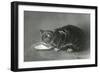 Le Gourmand, the Glutton-null-Framed Giclee Print