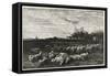 Le Grand Parc a Moutons, 1862-Charles Francois Daubigny-Framed Stretched Canvas