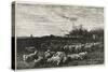 Le Grand Parc a Moutons, 1862-Charles Francois Daubigny-Stretched Canvas