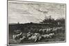 Le Grand Parc a Moutons, 1862-Charles Francois Daubigny-Mounted Giclee Print