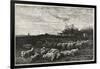 Le Grand Parc a Moutons, 1862-Charles Francois Daubigny-Framed Giclee Print