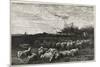 Le Grand Parc a Moutons, 1862-Charles Francois Daubigny-Mounted Giclee Print