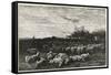 Le Grand Parc a Moutons, 1862-Charles Francois Daubigny-Framed Stretched Canvas