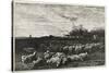 Le Grand Parc a Moutons, 1862-Charles Francois Daubigny-Stretched Canvas